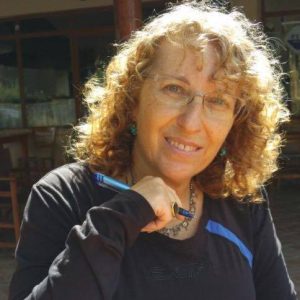 תמונה-יצוגית