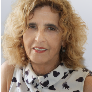 -שלי-לאתר-גישור